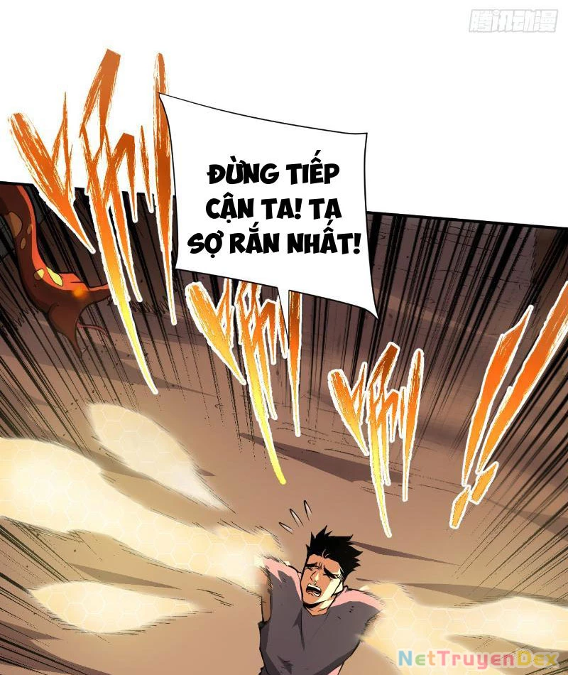 Mệnh Luân Chi Chủ! Khi Dị Biến Giáng Lâm Nhân Gian! Chapter 2 - Trang 3