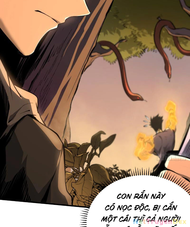 Mệnh Luân Chi Chủ! Khi Dị Biến Giáng Lâm Nhân Gian! Chapter 2 - Trang 3