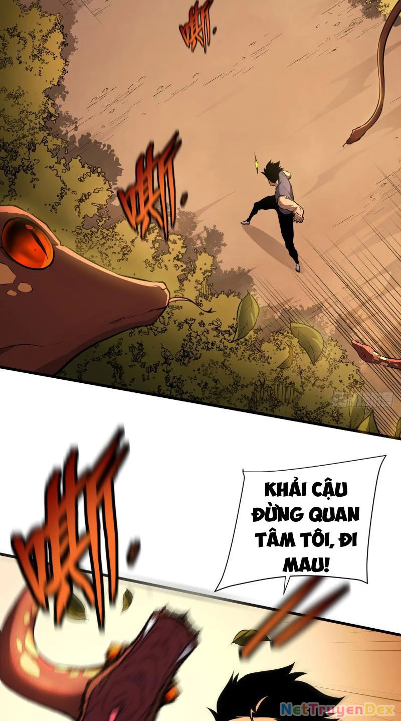 Mệnh Luân Chi Chủ! Khi Dị Biến Giáng Lâm Nhân Gian! Chapter 3 - Trang 3