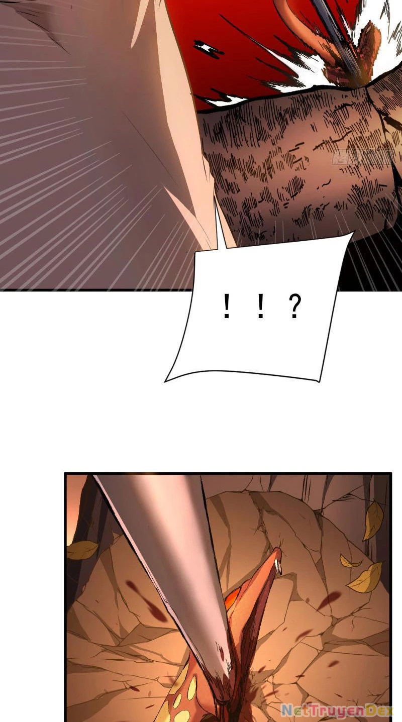 Mệnh Luân Chi Chủ! Khi Dị Biến Giáng Lâm Nhân Gian! Chapter 3 - Trang 3