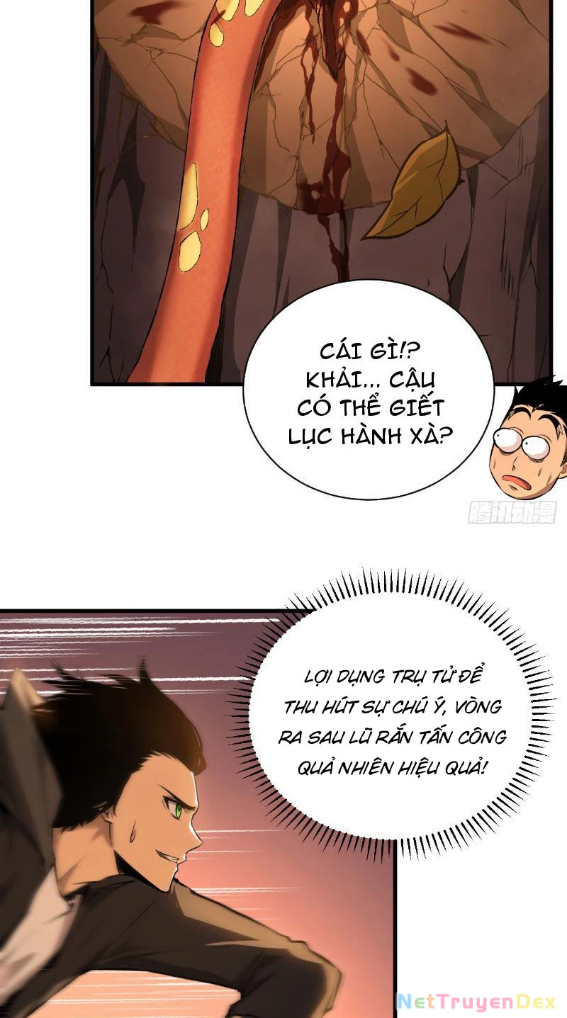 Mệnh Luân Chi Chủ! Khi Dị Biến Giáng Lâm Nhân Gian! Chapter 3 - Trang 3