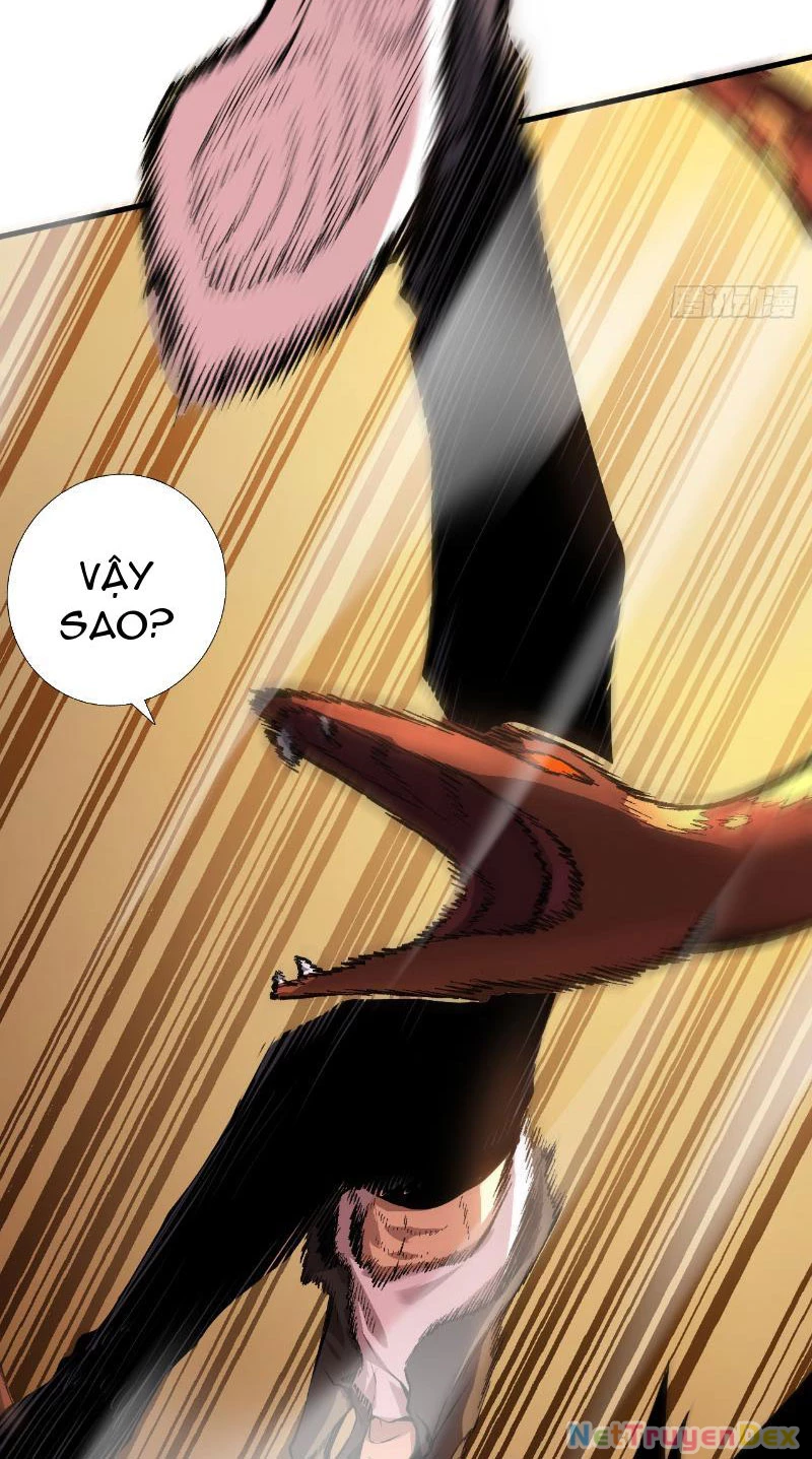 Mệnh Luân Chi Chủ! Khi Dị Biến Giáng Lâm Nhân Gian! Chapter 3 - Trang 3