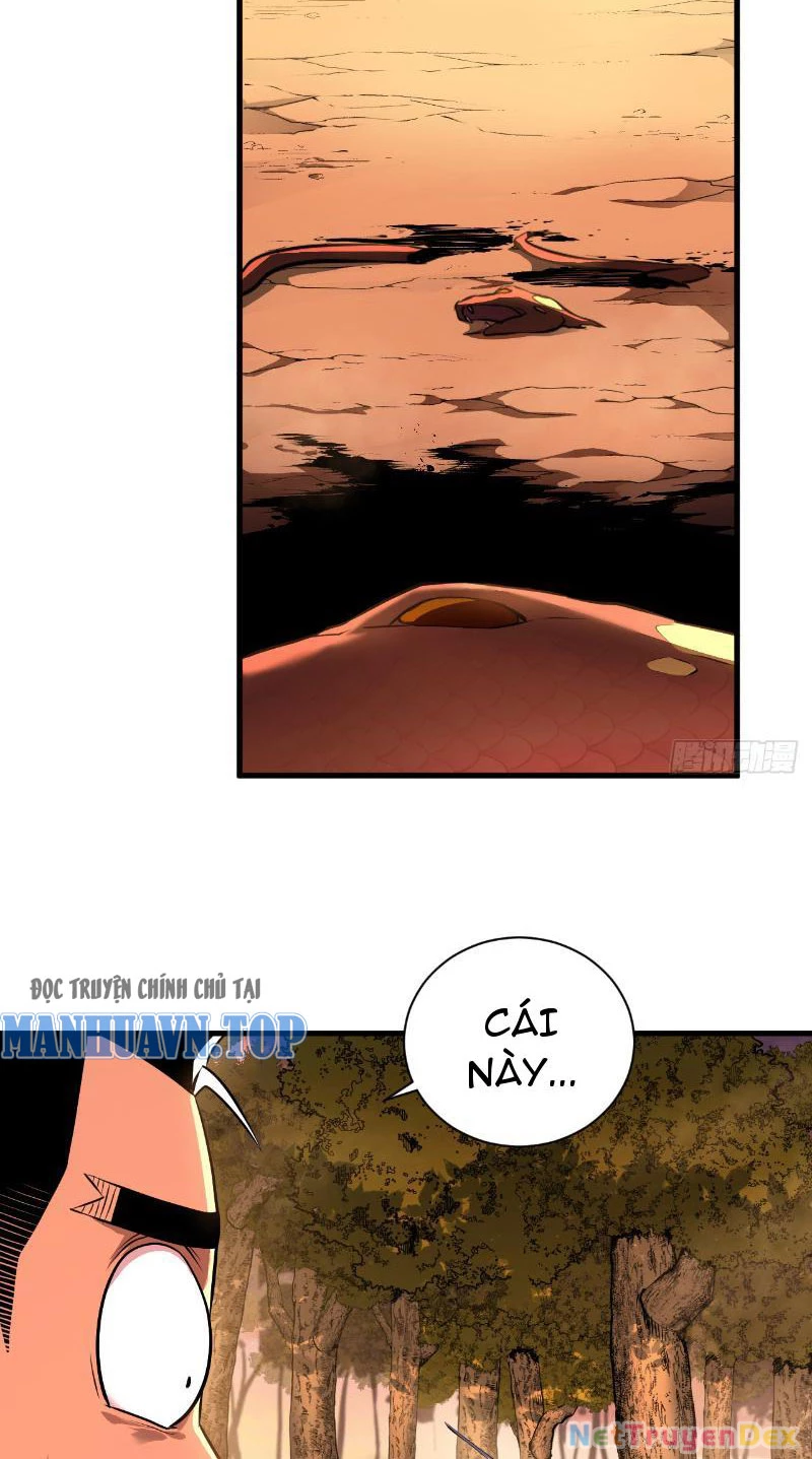 Mệnh Luân Chi Chủ! Khi Dị Biến Giáng Lâm Nhân Gian! Chapter 3 - Trang 3