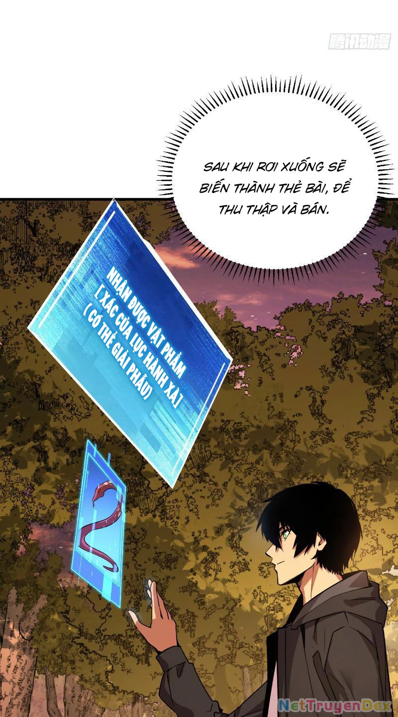 Mệnh Luân Chi Chủ! Khi Dị Biến Giáng Lâm Nhân Gian! Chapter 3 - Trang 3