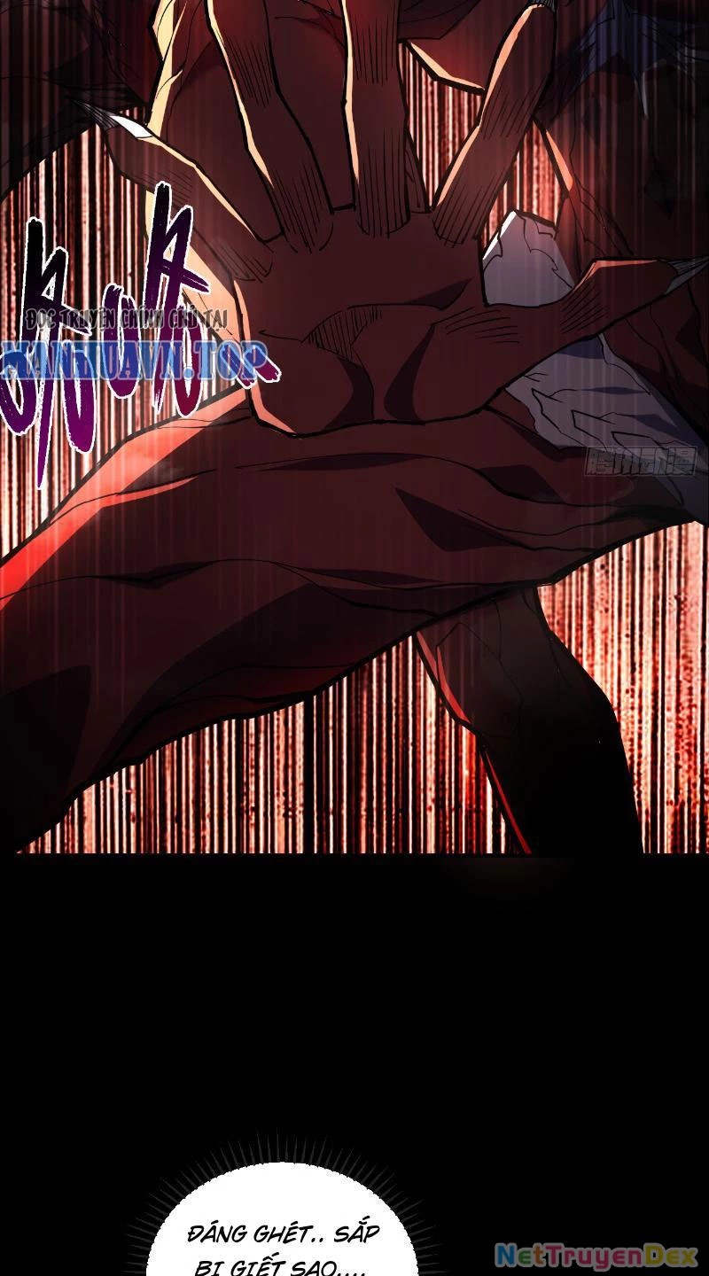 Mệnh Luân Chi Chủ! Khi Dị Biến Giáng Lâm Nhân Gian! Chapter 4 - Trang 3