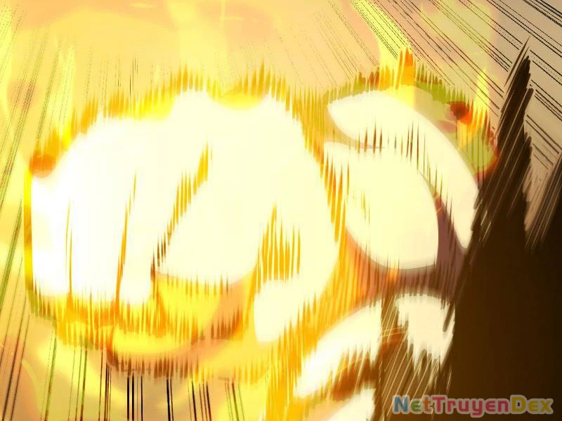 Mệnh Luân Chi Chủ! Khi Dị Biến Giáng Lâm Nhân Gian! Chapter 5 - Trang 3