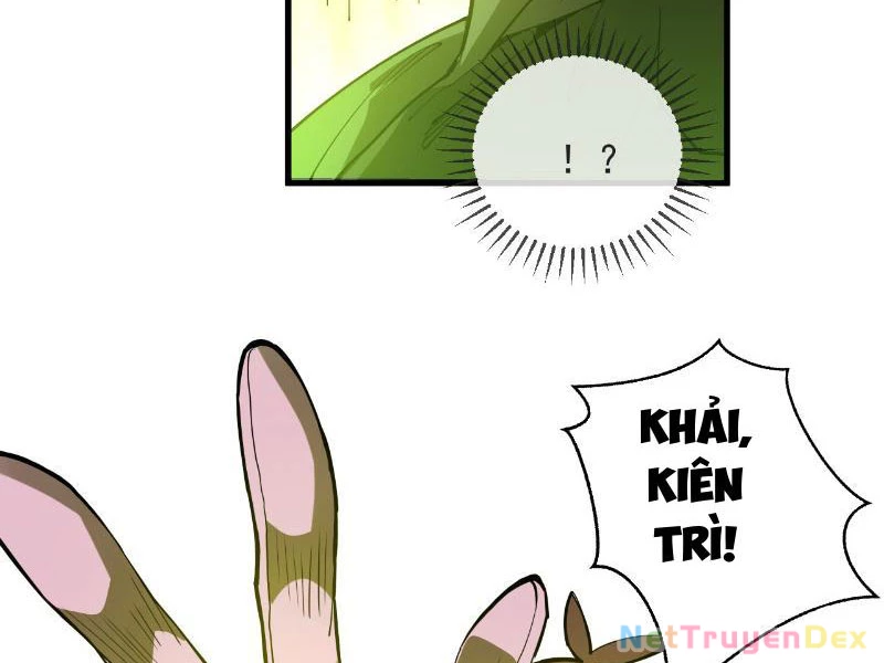 Mệnh Luân Chi Chủ! Khi Dị Biến Giáng Lâm Nhân Gian! Chapter 5 - Trang 3