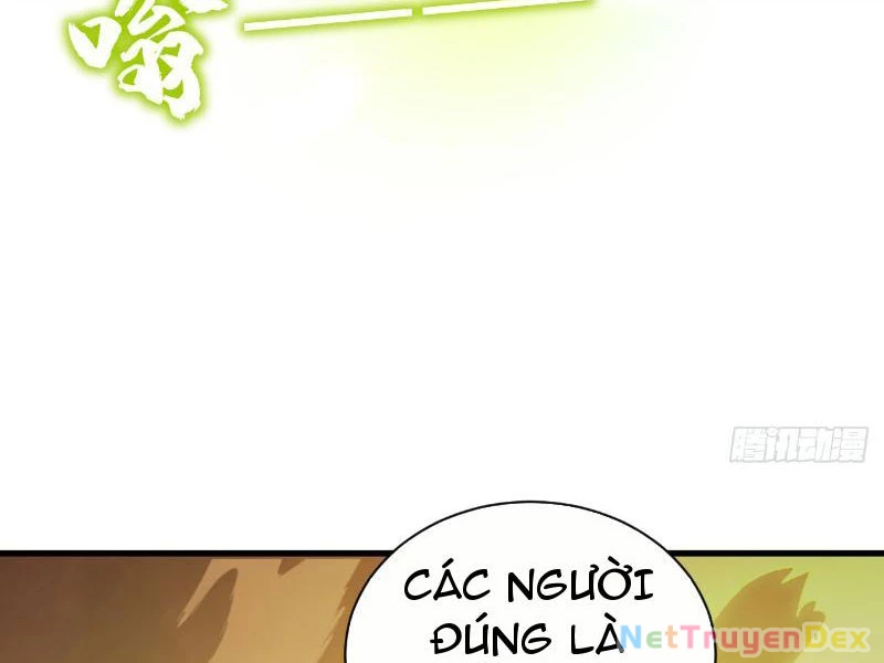 Mệnh Luân Chi Chủ! Khi Dị Biến Giáng Lâm Nhân Gian! Chapter 5 - Trang 3