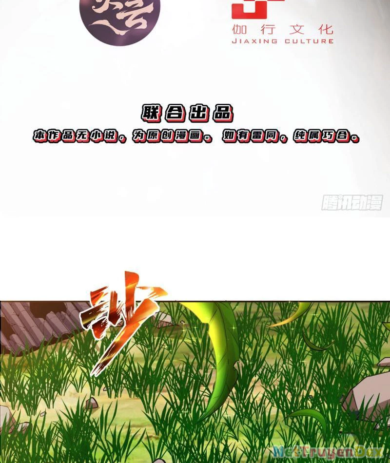 Ta Nhặt Đồ Bỏ Ở Mạt Thế Chapter 2 - Next Chapter 3