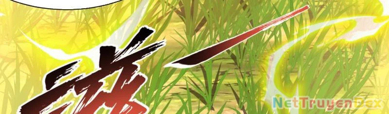 Ta Nhặt Đồ Bỏ Ở Mạt Thế Chapter 3 - Next Chapter 4