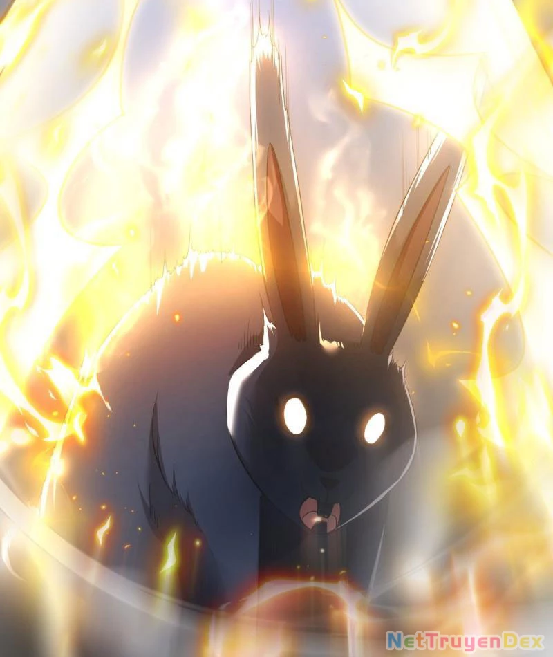 Ta Nhặt Đồ Bỏ Ở Mạt Thế Chapter 3 - Next Chapter 4