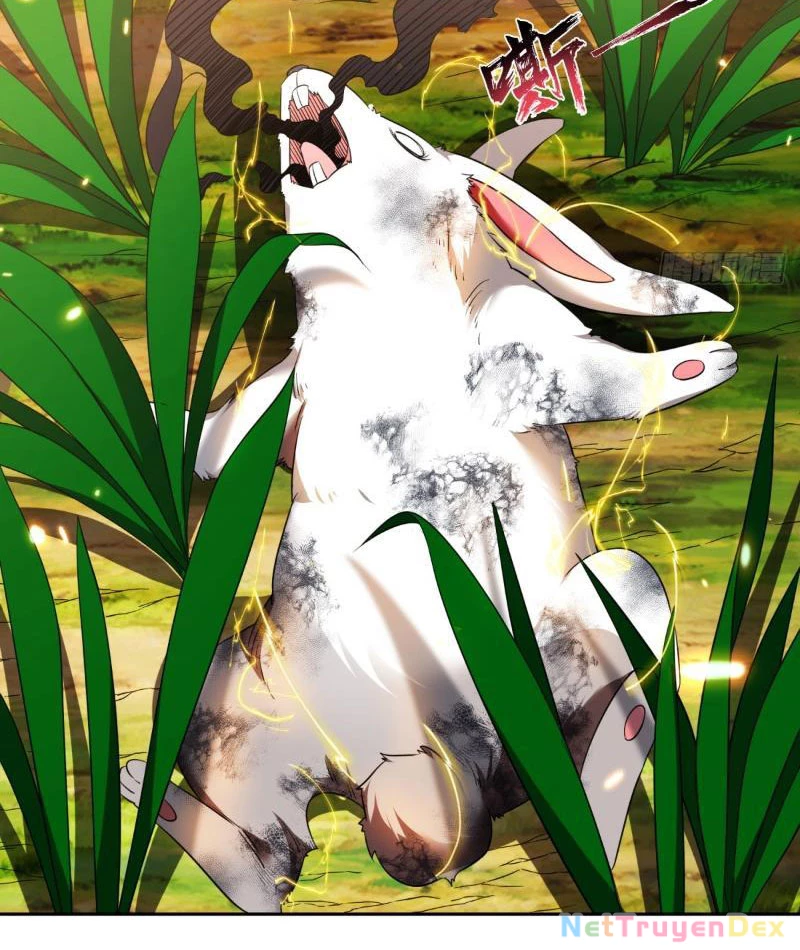 Ta Nhặt Đồ Bỏ Ở Mạt Thế Chapter 3 - Next Chapter 4