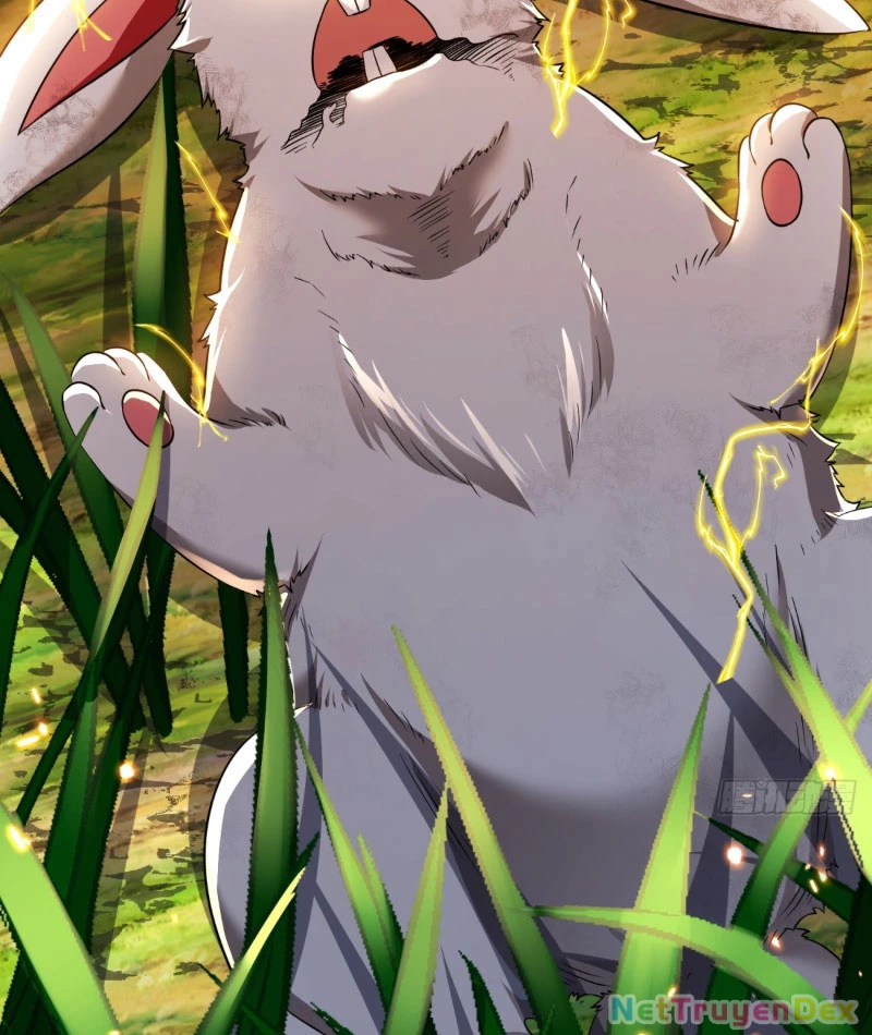 Ta Nhặt Đồ Bỏ Ở Mạt Thế Chapter 3 - Next Chapter 4