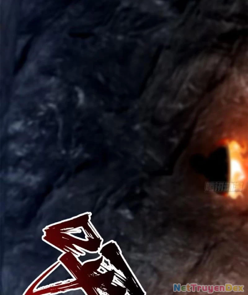 Ta Nhặt Đồ Bỏ Ở Mạt Thế Chapter 5 - Next Chapter 6