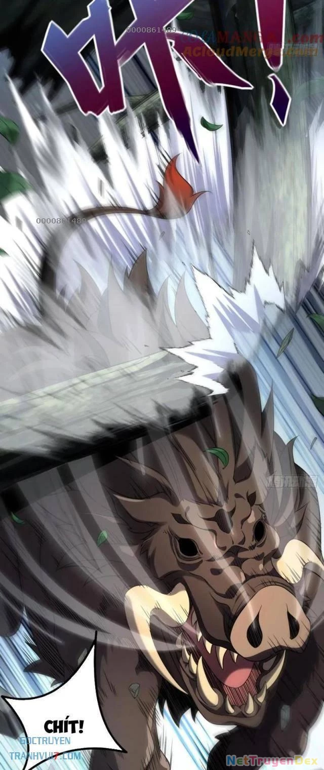 Ta Nhặt Đồ Bỏ Ở Mạt Thế Chapter 23 - Trang 2