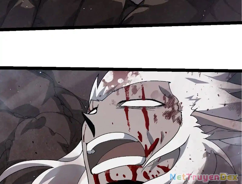 Chuyển Sinh Thành Liễu Đột Biến Chapter 316 - Trang 4
