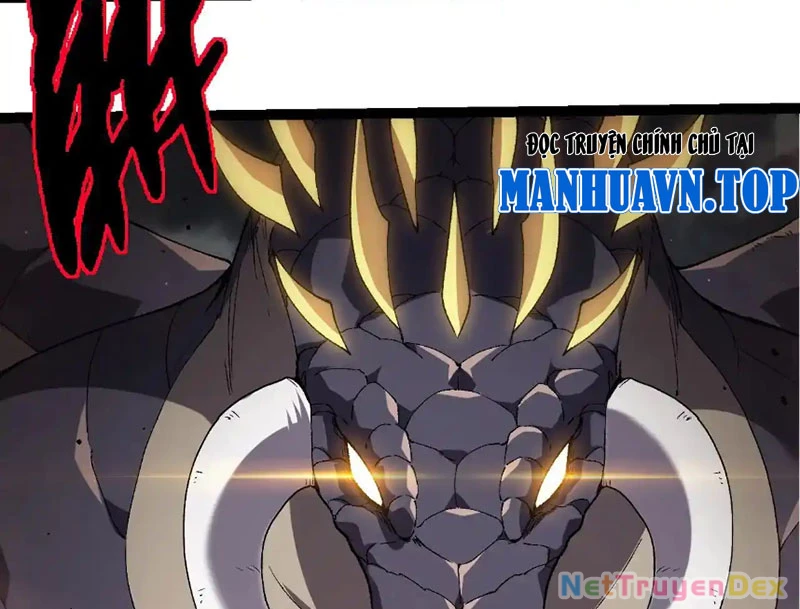 Chuyển Sinh Thành Liễu Đột Biến Chapter 316 - Trang 4