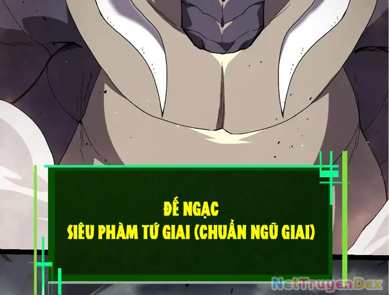 Chuyển Sinh Thành Liễu Đột Biến Chapter 316 - Trang 4