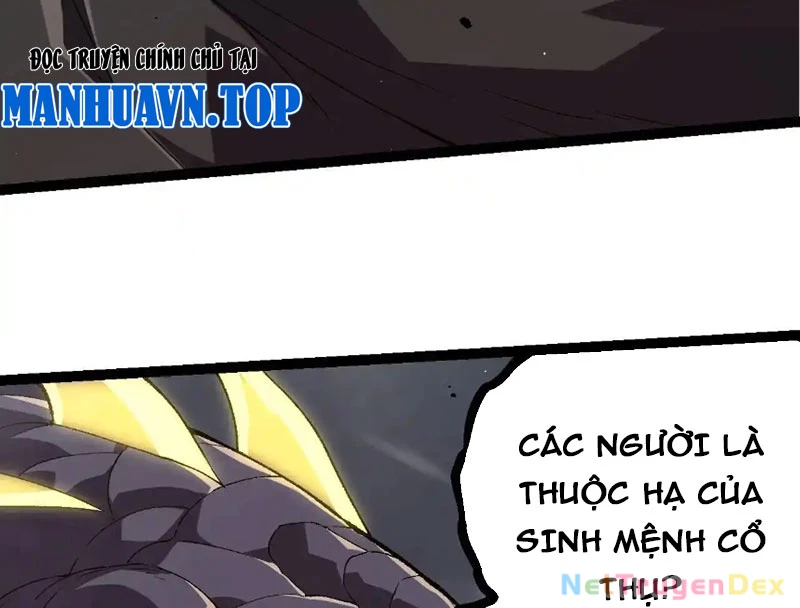 Chuyển Sinh Thành Liễu Đột Biến Chapter 316 - Trang 4