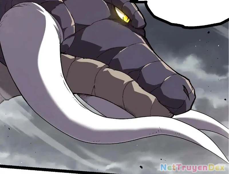 Chuyển Sinh Thành Liễu Đột Biến Chapter 316 - Trang 4