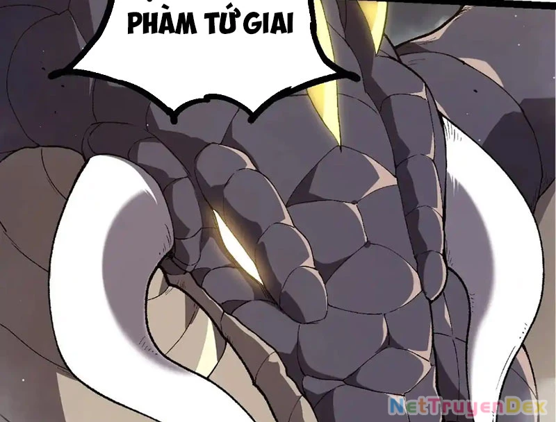 Chuyển Sinh Thành Liễu Đột Biến Chapter 316 - Trang 4
