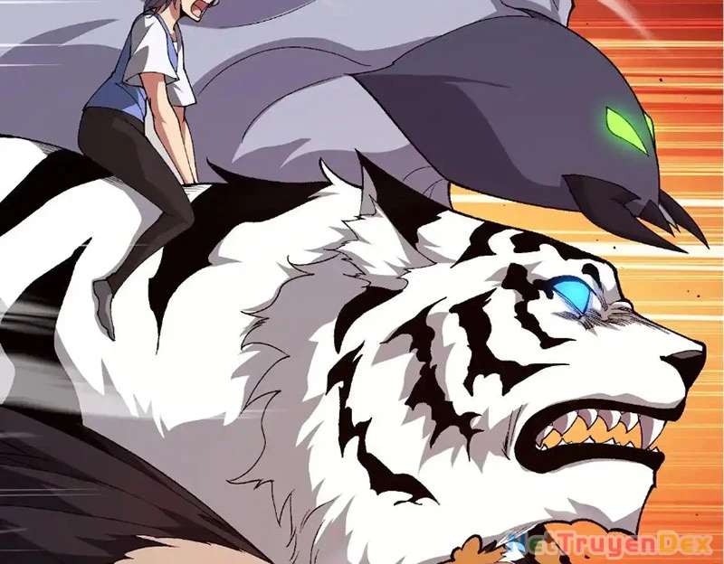 Chuyển Sinh Thành Liễu Đột Biến Chapter 316 - Trang 4