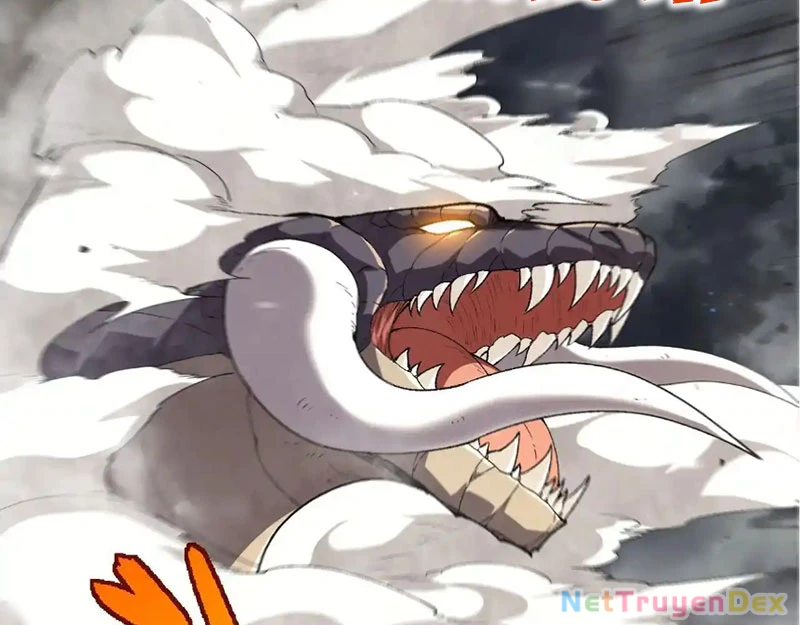 Chuyển Sinh Thành Liễu Đột Biến Chapter 316 - Trang 4