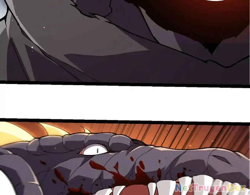 Chuyển Sinh Thành Liễu Đột Biến Chapter 316 - Trang 4
