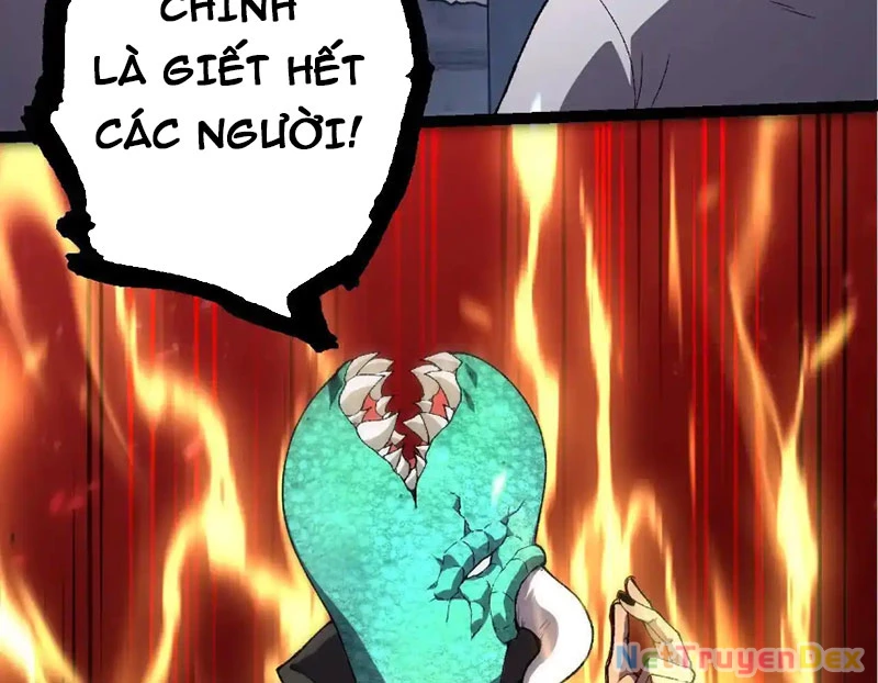 Chuyển Sinh Thành Liễu Đột Biến Chapter 316 - Trang 4