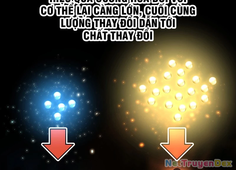 Đồ đệ ta đều là vô địch đại yêu Chapter 27 - Trang 2