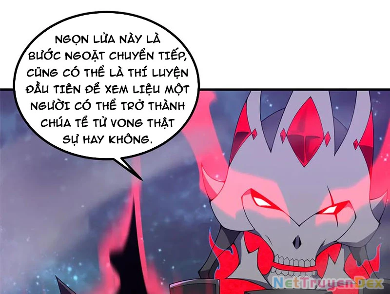 Thần Sủng Tiến Hóa Chapter 371 - Trang 4