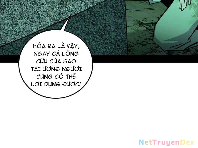 Ta Là Tà Đế Chapter 536 - Trang 4