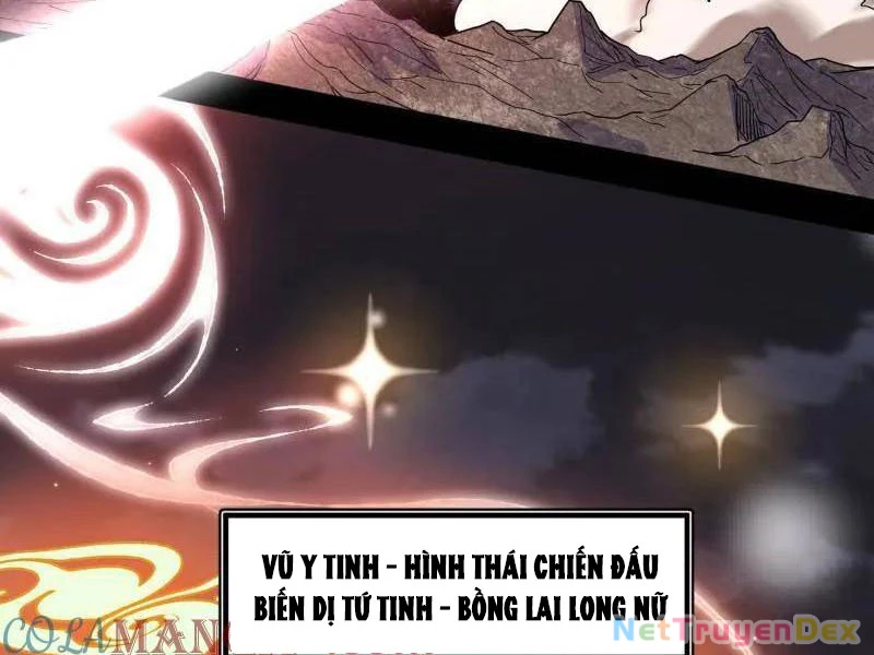 Ta Là Tà Đế Chapter 536 - Trang 4