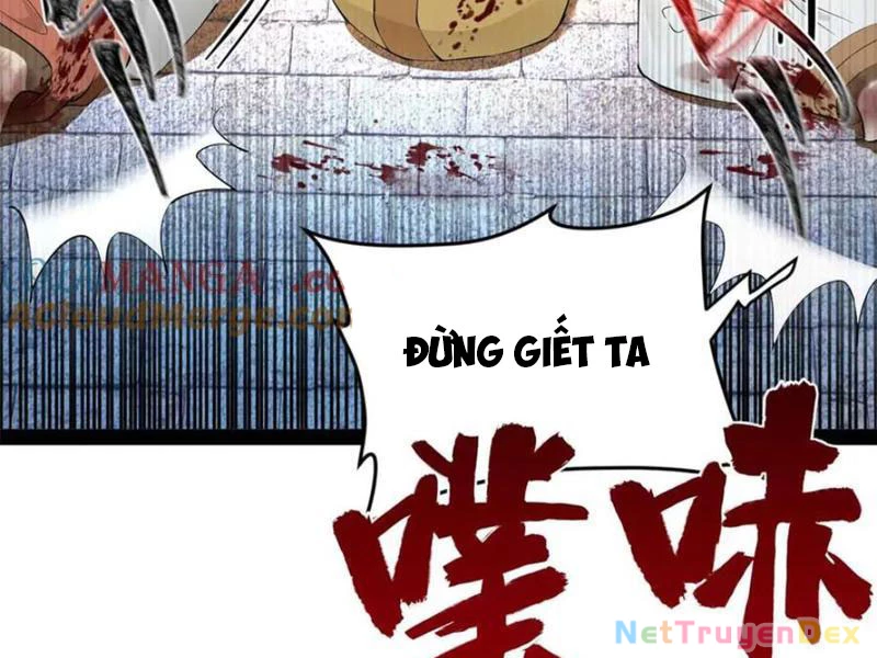 Chàng Rể Mạnh Nhất Lịch Sử Chapter 258 - Trang 4