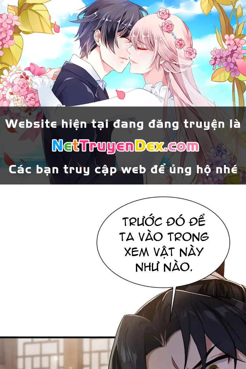 Hoá Ra Ta Đã Vô Địch Từ Lâu Chapter 225 - Trang 4