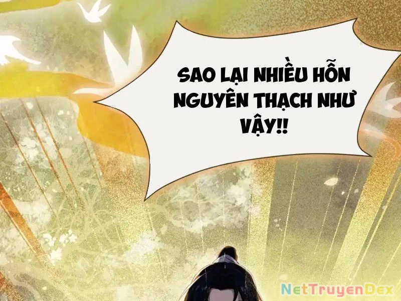 Hoá Ra Ta Đã Vô Địch Từ Lâu Chapter 225 - Trang 4