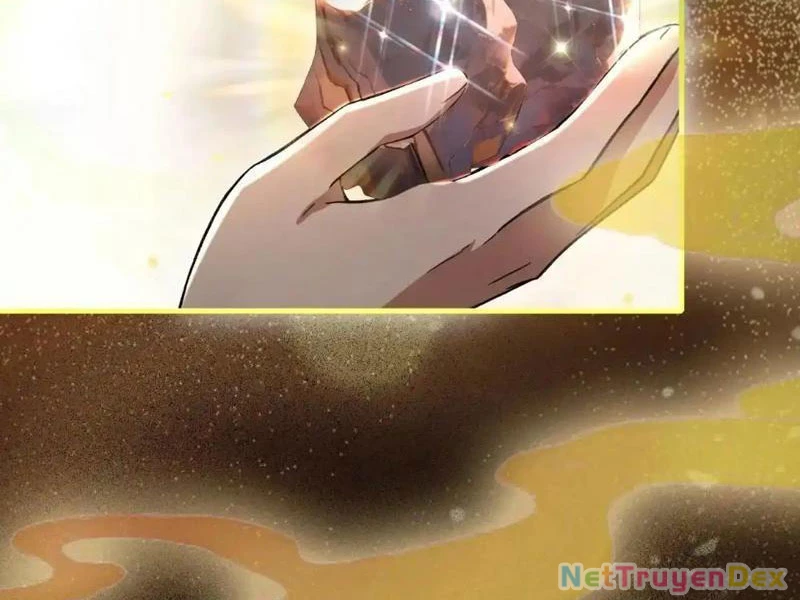 Hoá Ra Ta Đã Vô Địch Từ Lâu Chapter 225 - Trang 4