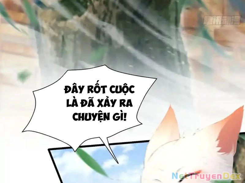 Hoá Ra Ta Đã Vô Địch Từ Lâu Chapter 225 - Trang 4