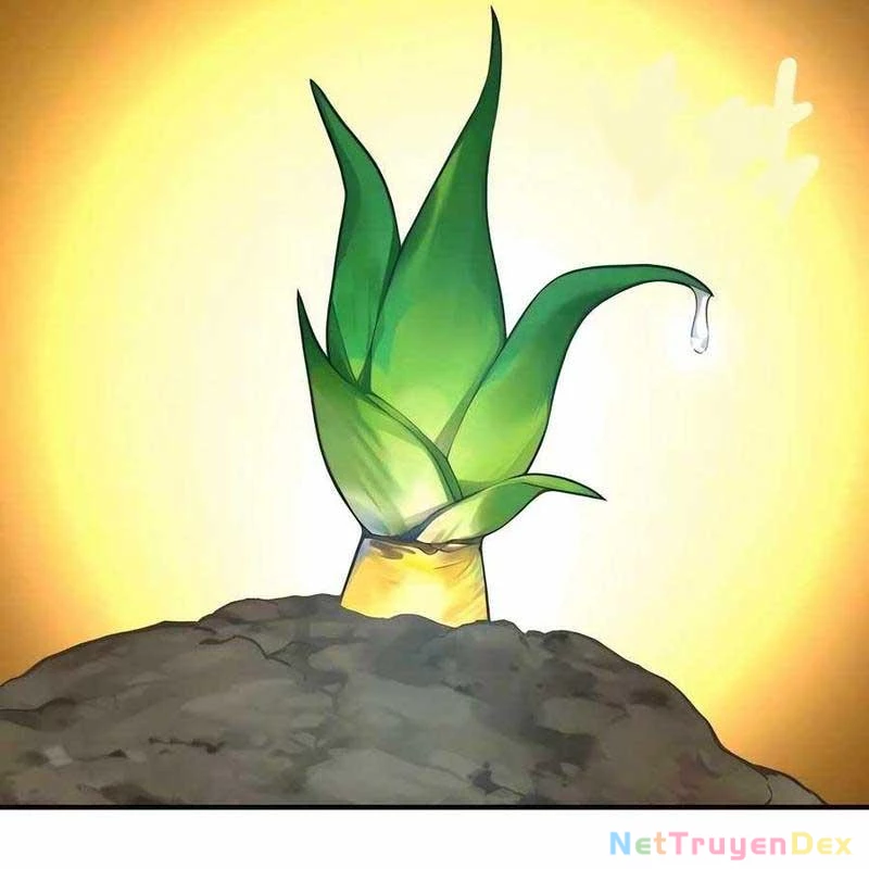 Làm Nông Dân Trong Tòa Tháp Thử Thách Chapter 91 - Trang 4