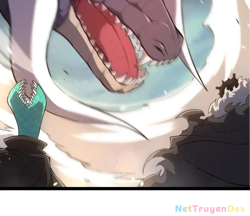 Chuyển Sinh Thành Liễu Đột Biến Chapter 317 - Trang 4