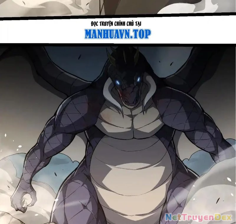 Chuyển Sinh Thành Liễu Đột Biến Chapter 317 - Trang 4