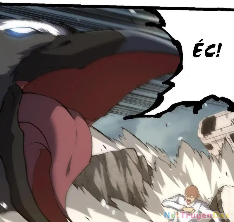 Chuyển Sinh Thành Liễu Đột Biến Chapter 317 - Trang 4