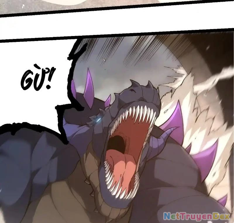 Chuyển Sinh Thành Liễu Đột Biến Chapter 317 - Trang 4