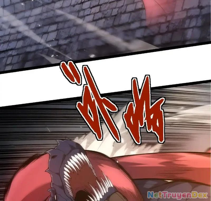 Chuyển Sinh Thành Liễu Đột Biến Chapter 317 - Trang 4
