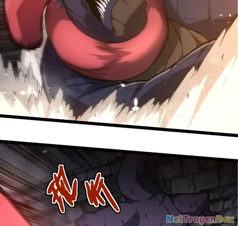 Chuyển Sinh Thành Liễu Đột Biến Chapter 317 - Trang 4