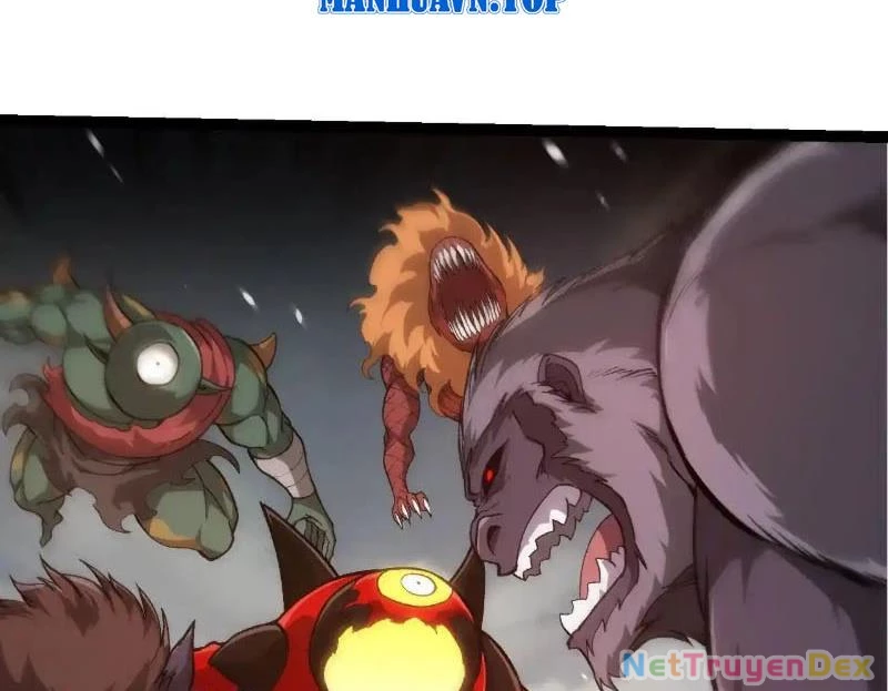 Chuyển Sinh Thành Liễu Đột Biến Chapter 317 - Trang 4