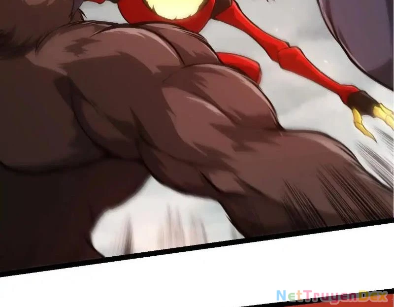 Chuyển Sinh Thành Liễu Đột Biến Chapter 317 - Trang 4