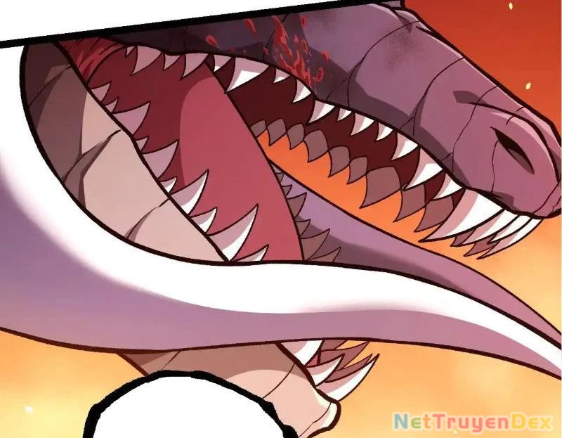 Chuyển Sinh Thành Liễu Đột Biến Chapter 317 - Trang 4
