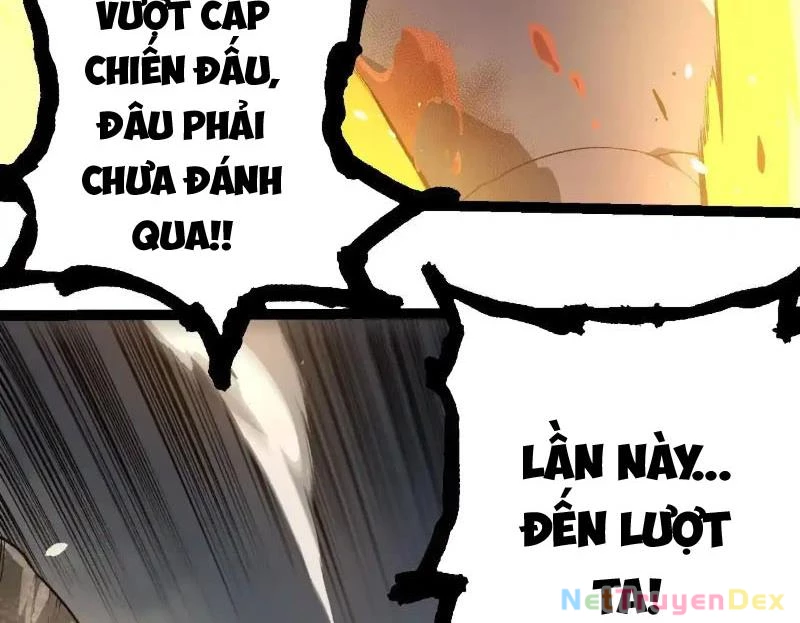 Chuyển Sinh Thành Liễu Đột Biến Chapter 317 - Trang 4