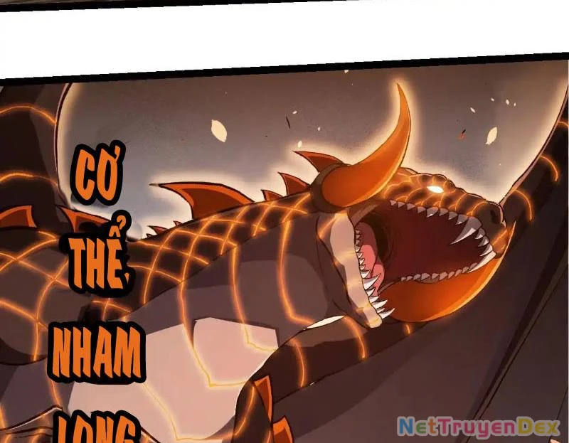 Chuyển Sinh Thành Liễu Đột Biến Chapter 317 - Trang 4